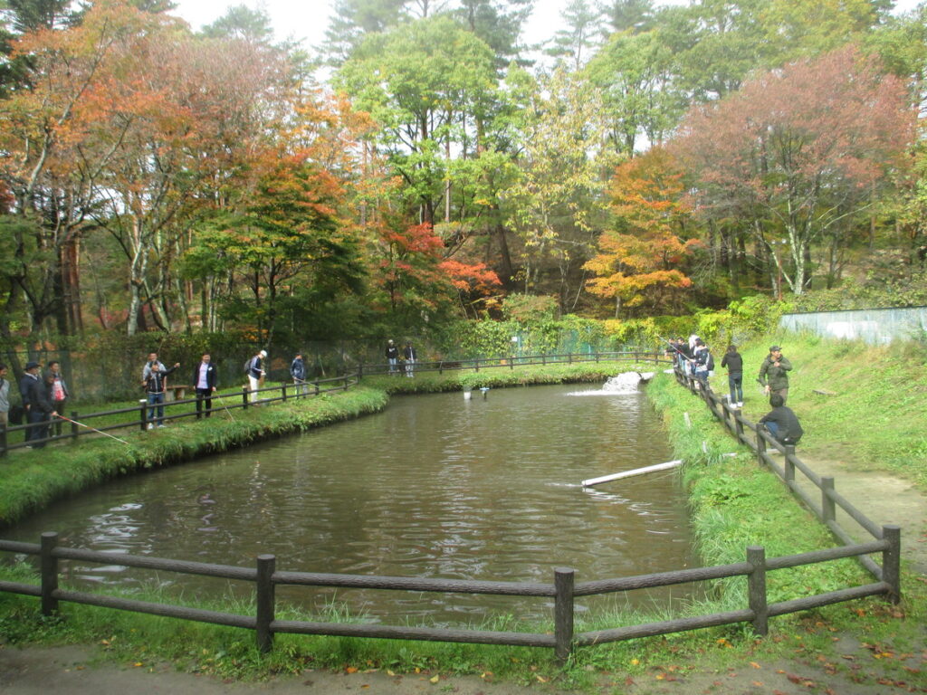 川内 いわな の 郷